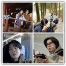 다원리미티드 | 꽃보다 청춘 리미티드, 촬영지, 남원 한옥, 보성 녹차밭, 위치, 시청률, 반응 총정리