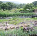 오백농장 이미지