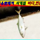 자유로레저낚시터 이미지