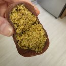 파티쉐 안동현 이미지