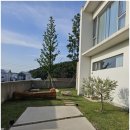 13월의 경주 이미지