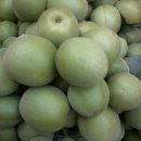 소망농장 이미지