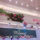 올캣코리아 | 올캣코리아 궁디팡팡마켓 후기