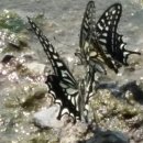 부남농장 이미지