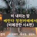 비에 관한 시 4편 이미지