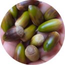 동화마을 생태공원3 (이동식화장실) | [부산] &lt;화명수목원&gt; 가을 풍경을 담아왔어요(나비 생태체험장) 2025.10.18