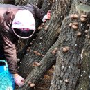 장흥슈퍼 이미지