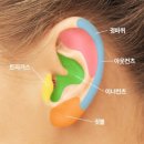 피어싱갤러리 이미지