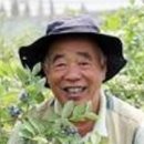 조한신농장 Daum카페