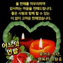 행복한 연말연시가 되시길 바라며.... 이미지