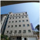 둥지(네스트) 이미지