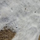 남여주골프장화장실 | 싼맛에 눈밭 라운딩 - 남여주 골프장 리얼 후기