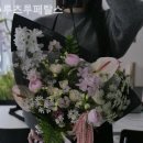 루츠투페탈스