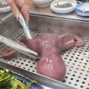 문어와 회나라 | 일산 피문어와회나라 킨텍스 해산물 제철회 최고 맛집 추천