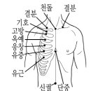 【족양명위경(足陽明胃經)】 〔ST14 고방(庫房) 족양명위경-ST14〕 "血, 津液을 저장하는 창고" 이미지