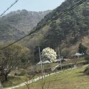 노동3리 이미지