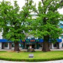 화순약국 이미지