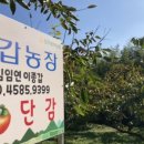 종갑농장 이미지