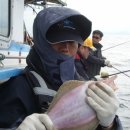 화이트하우스(솔비치) 이미지