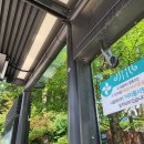 시원이네 이미지