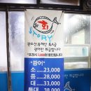 두류스포렉스
