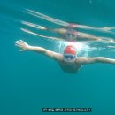 기타조형물 8 이미지