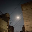 못난이통닭