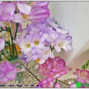 오션블루 이미지