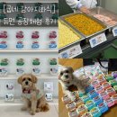 반려동물 토탈 케어 | 굽네 듀먼 공장체험: 강아지 화식 제조과정 직접 보고 온 후기