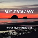 더노을 | 태안 꽃지해수욕장 노을 후기｜일몰 후 더 아름다웠던 순간