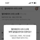 젤라떼리아사우스브룩