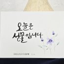 쉽게 배우는 감성 수채화 이미지