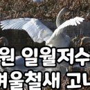 양평해장국 성대점 이미지