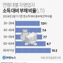 연령대별 자영업자 소득 대비 부채 비율(LTI) 이미지