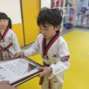 K드래곤태권도장 이미지