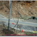 유락농장 이미지