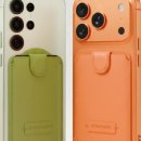 세이프짐 이미지