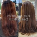 리안헤어 다율동점 | 운정 미용실 추천 ' 리안헤어 다율동점 ' 프리미엄 전체염색 대만족 후기 (feat. 시현점장님)