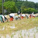 하호분교 이미지