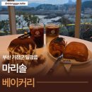마리솔 | 부산 기장 카페 마리솔 후기 – 빵은 합격, 관리 아쉬움