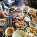 판포야채