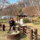 우면생태놀이터 이미지