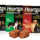 구일역1번약국 이미지