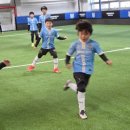 위너스타 이미지