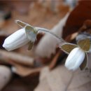 동강농장 이미지