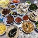 세월마차 티스토리