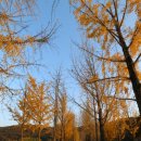 문광면 소금랜드 화장실 이미지