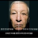 냥이멍이세상 | 5월을 즐기지 않으면 여름이 와서 다 타버릴거야~