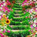 사조미가 이미지