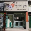 멍뭉이 쌀롱 이미지